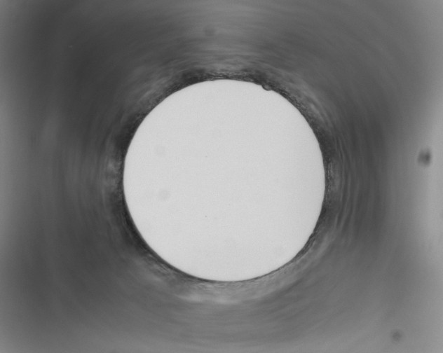 X0000116460033201001201309