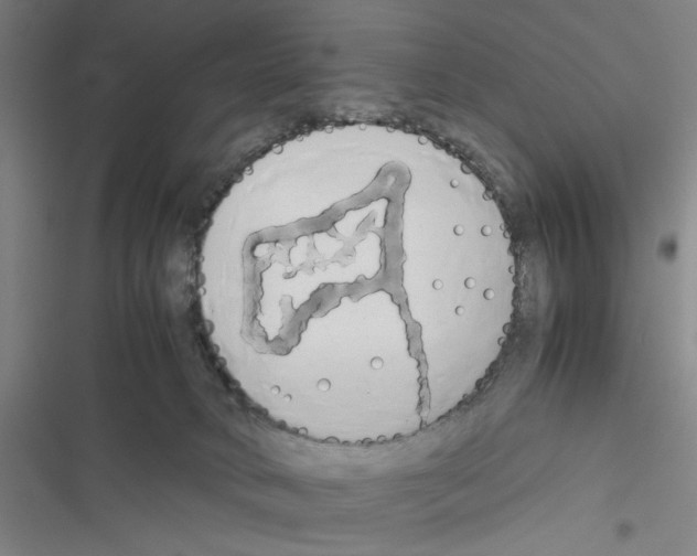 X0000116460034201001201309