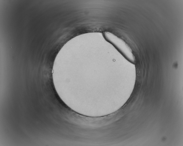 X0000116460035201001201309