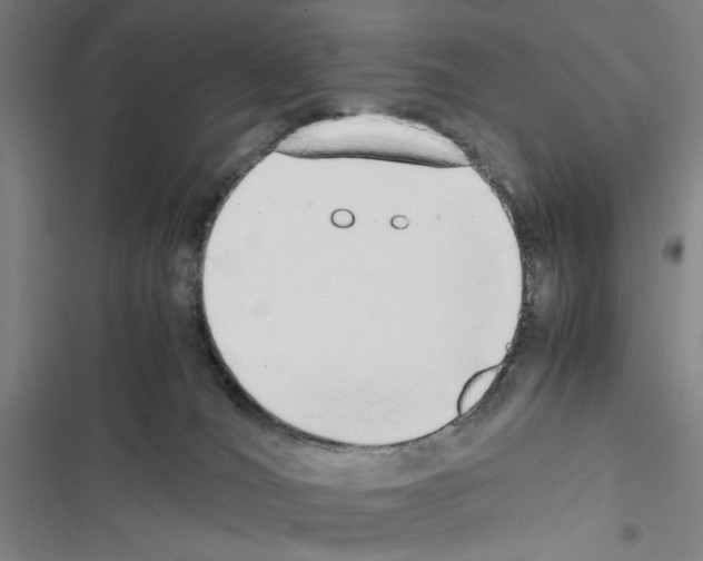 X0000116460036201001201309