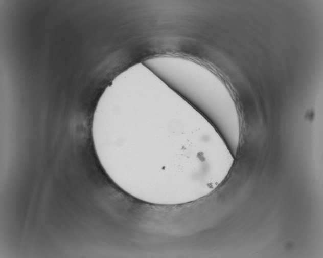 X0000116460037201001201309
