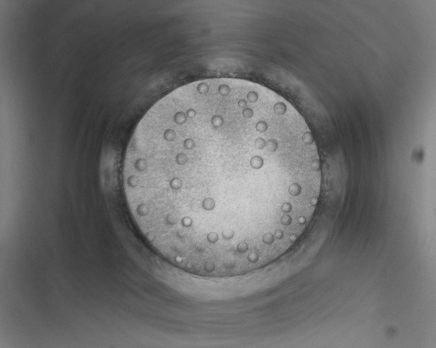 X0000116460038201001201309
