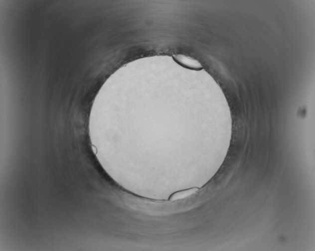 X0000116460039201001201309