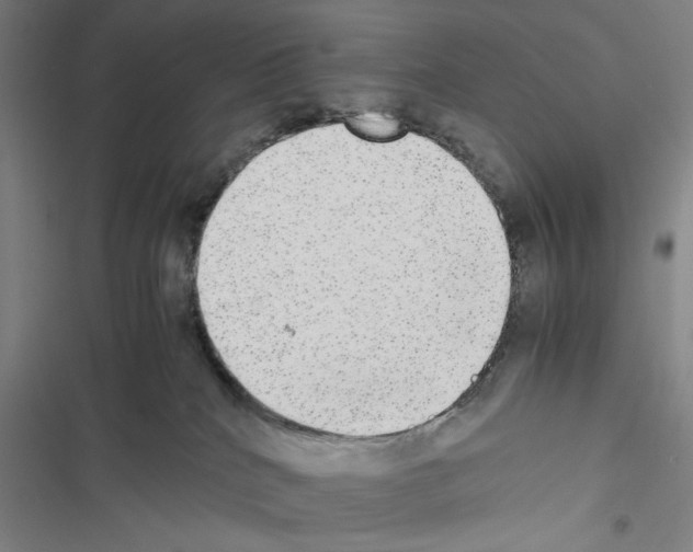 X0000116460040201001201309