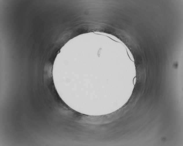 X0000116460041201001201309