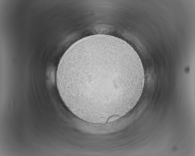 X0000116460042201001201309