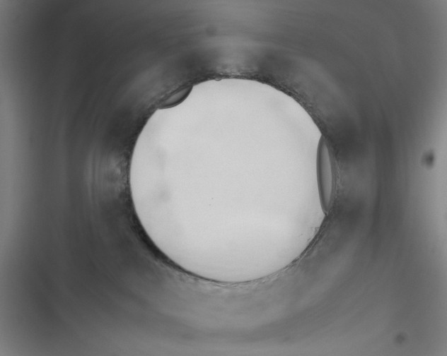 X0000116460043201001201309