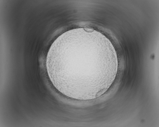 X0000116460044201001201309
