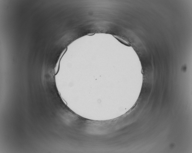 X0000116460045201001201309