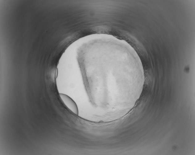 X0000116460047201001201309