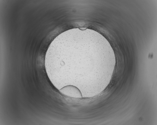 X0000116460048201001201309