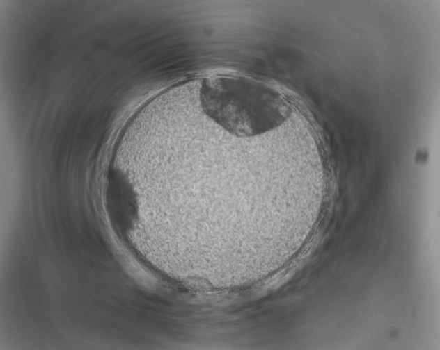 X0000116460049201001201308