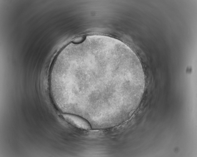 X0000116460050201001201309