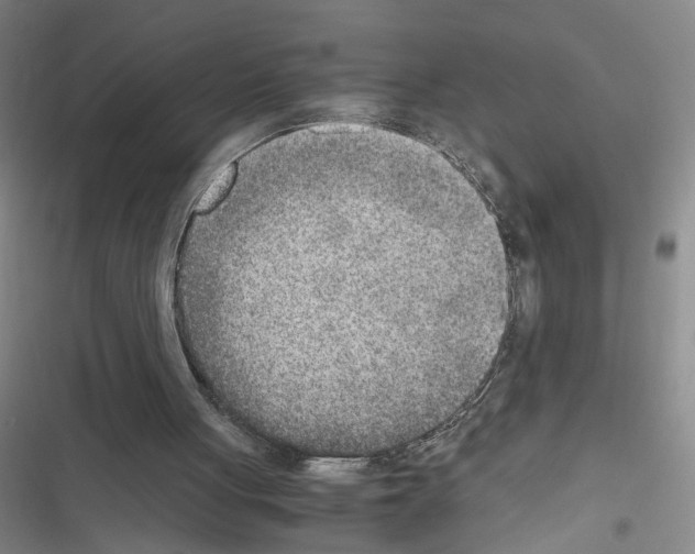 X0000116460051201001201309