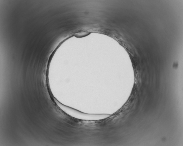 X0000116460052201001201309