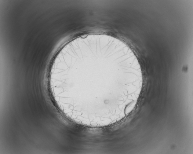 X0000116460053201001201309