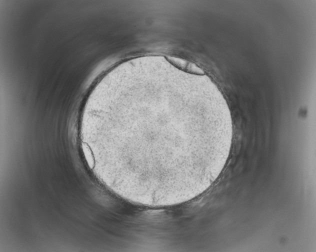 X0000116460054201001201309