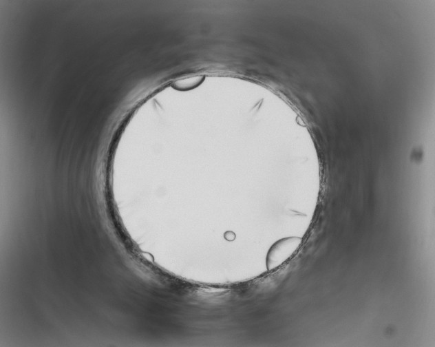 X0000116460055201001201309