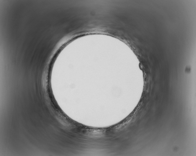 X0000116460056201001201309