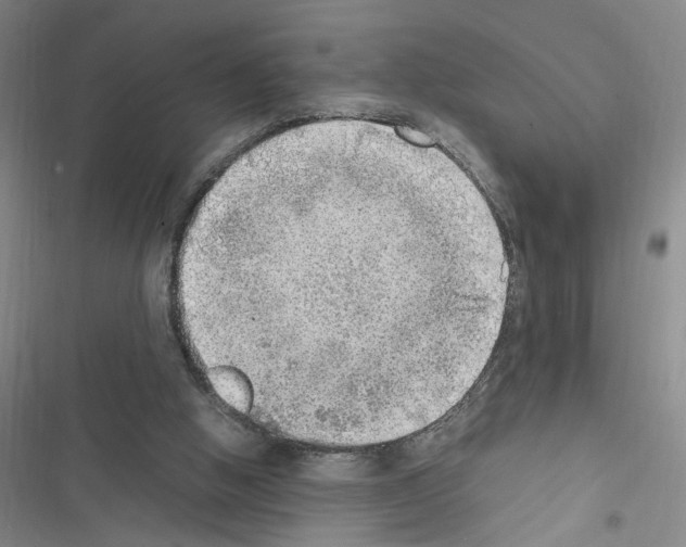 X0000116460058201001201309