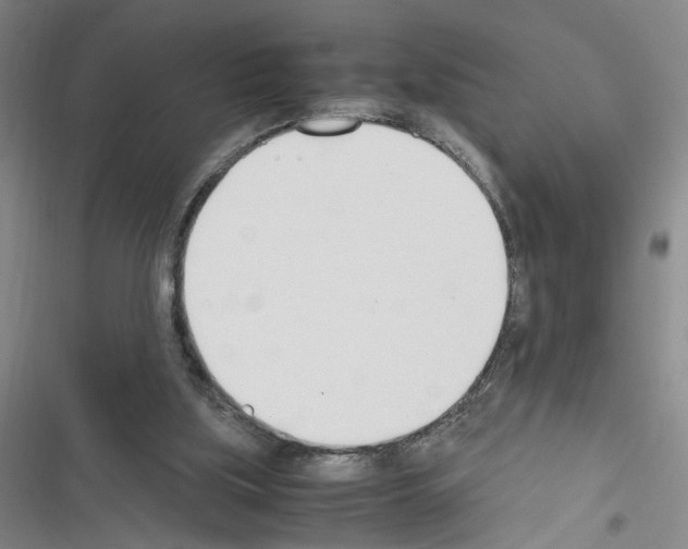 X0000116460059201001201309