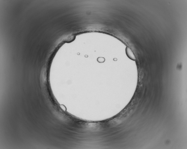 X0000116460060201001201309