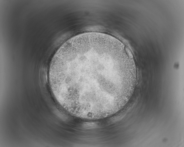 X0000116460061201001201309