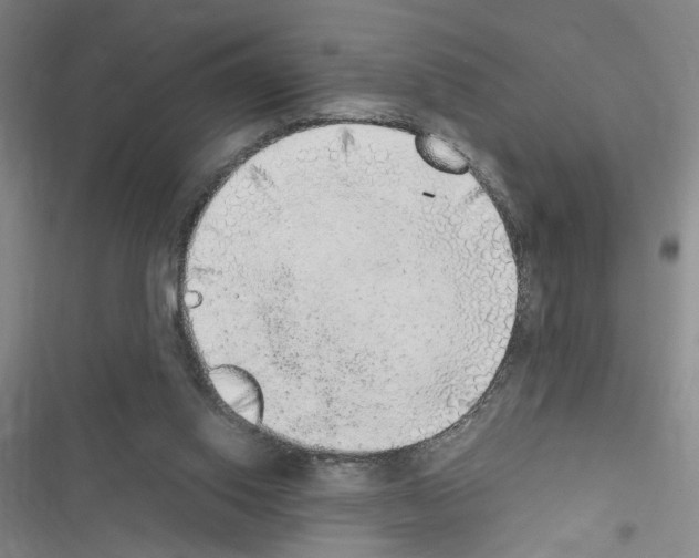 X0000116460062201001201309