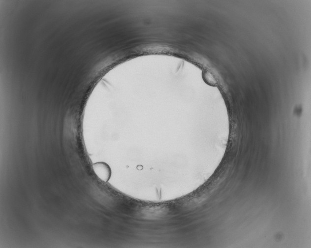 X0000116460063201001201309