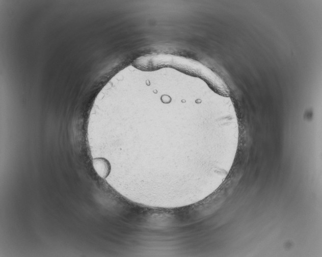 X0000116460066201001201309