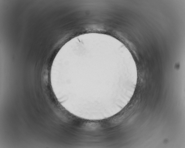 X0000116460067201001201309