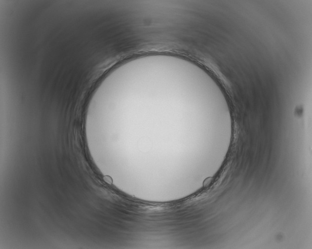 X0000116460068201001201309