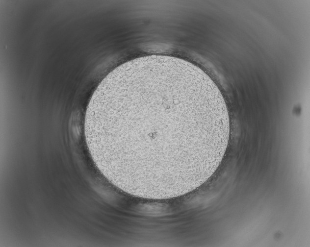 X0000116460069201001201309
