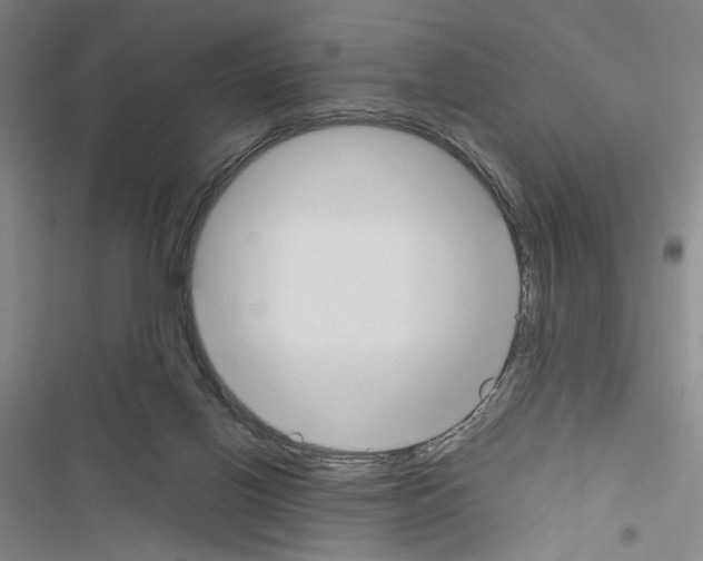 X0000116460070201001201309