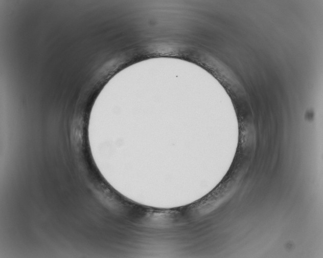 X0000116460072201001201309