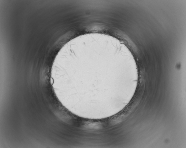 X0000116460073201001201309