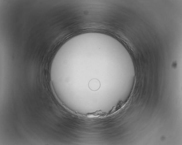 X0000116460074201001201309