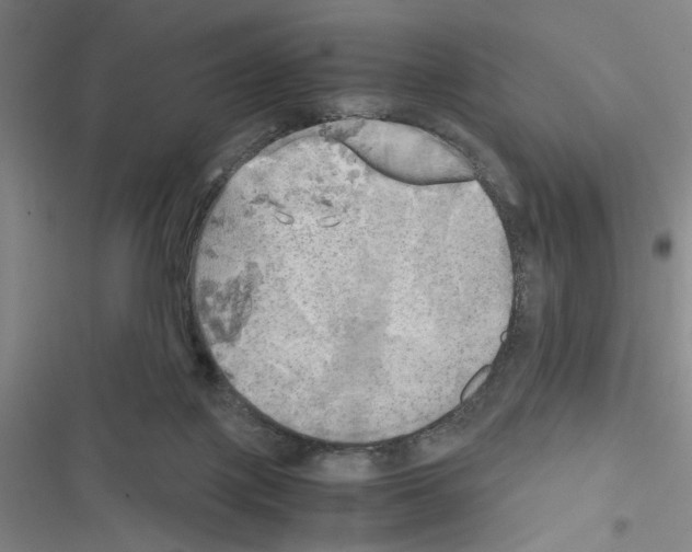 X0000116460075201001201309