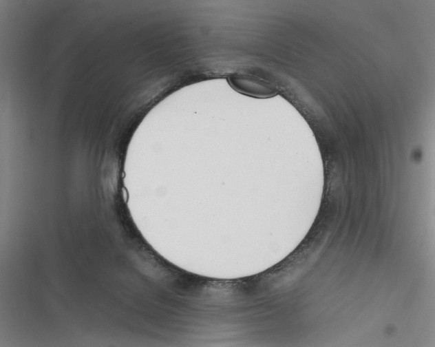 X0000116460076201001201309