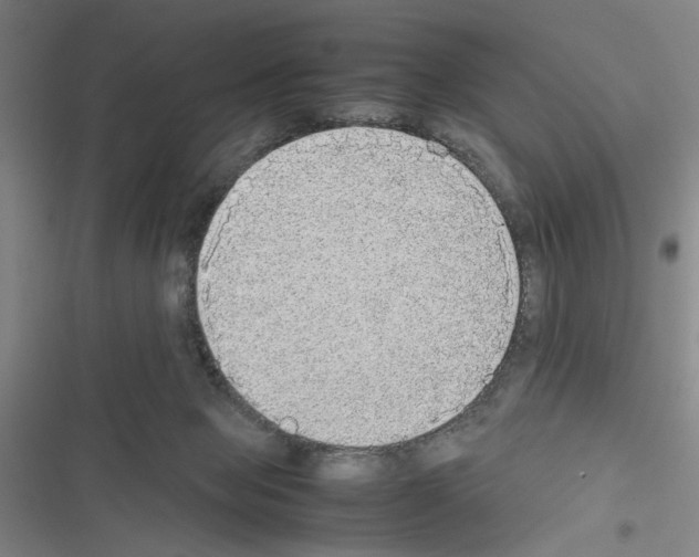 X0000116460077201001201309