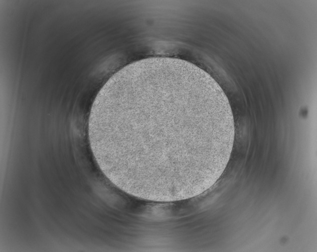 X0000116460078201001201309