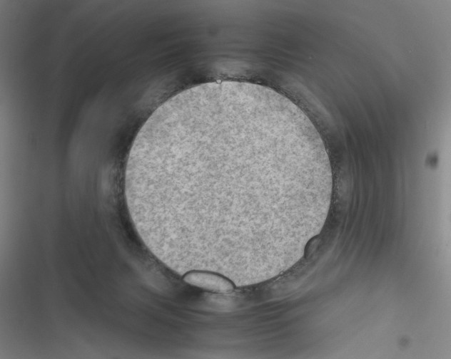 X0000116460079201001201309