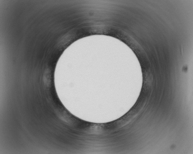 X0000116460080201001201309
