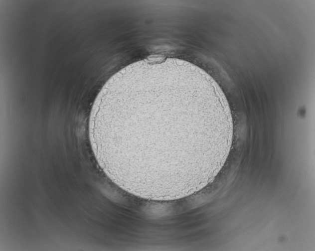 X0000116460081201001201309