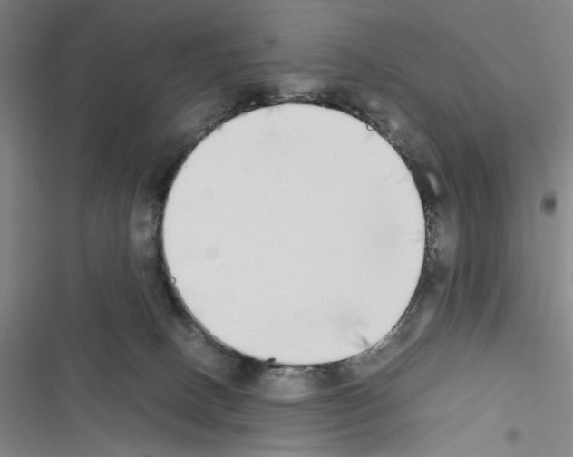 X0000116460082201001201309