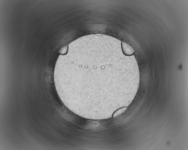 X0000116460083201001201309