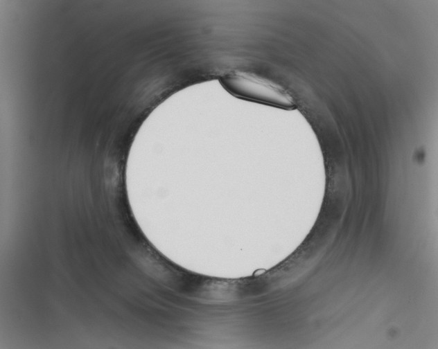 X0000116460084201001201309
