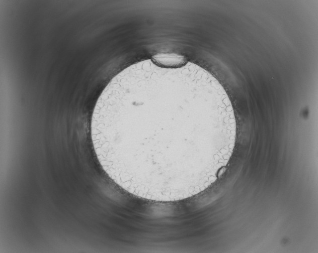 X0000116460085201001201309