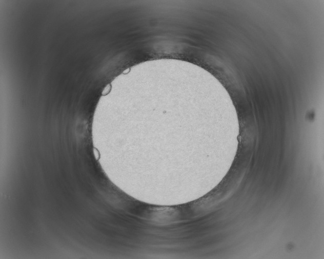X0000116460087201001201309