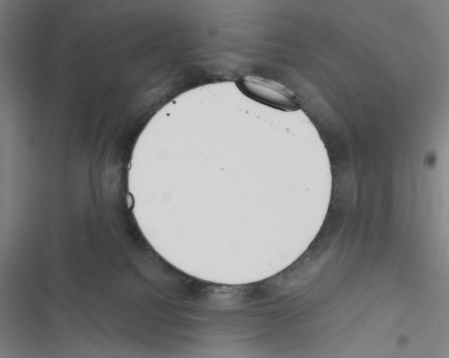 X0000116460088201001201309